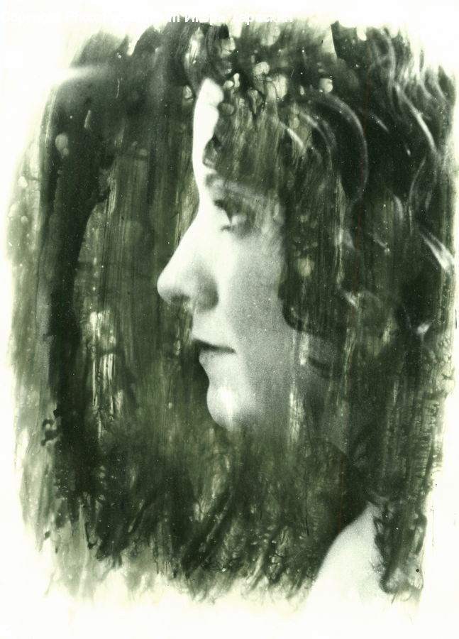Head, Portrait, Person, Drawing, Sketch, Female