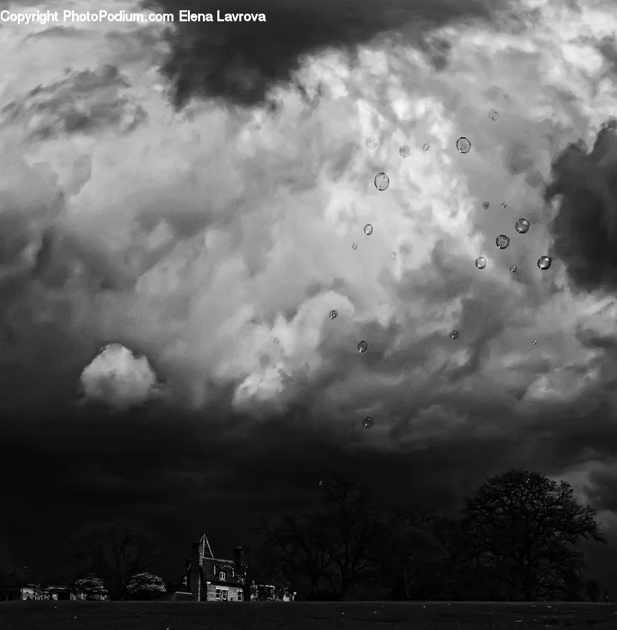 Cloud, Cumulus, Sky, Outdoors, Storm, Weather, Plant