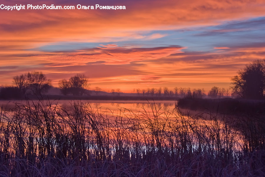 Dawn, Dusk, Red Sky, Sky, Sunrise, Sunset, Field