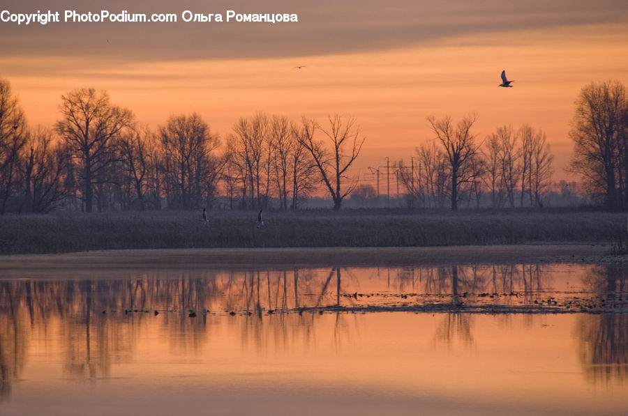Dawn, Dusk, Sky, Sunrise, Sunset, Flood, Red Sky