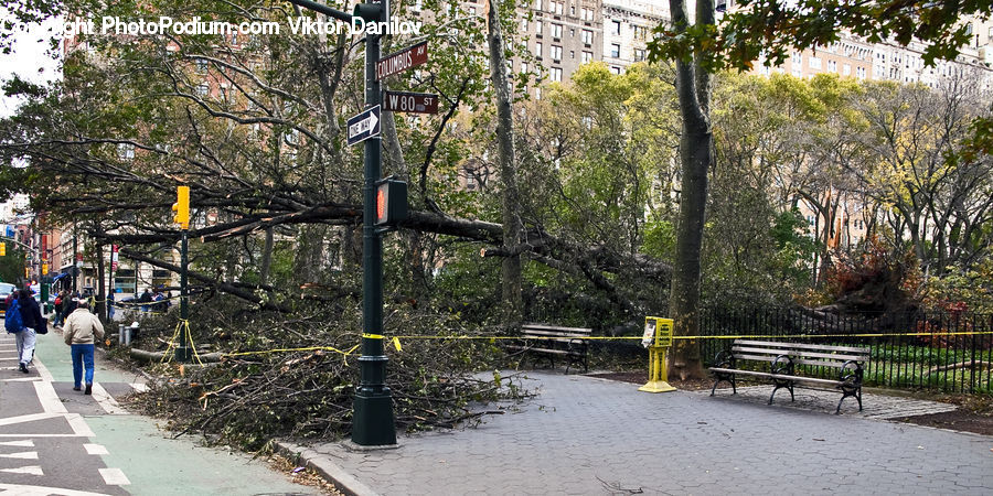 Bench, Park, Boardwalk, Path, Pavement, Sidewalk, Walkway