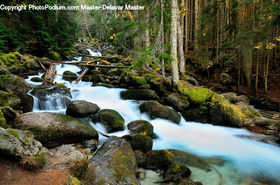 Outdoors, River, Water, Waterfall, Creek, Rock, Forest