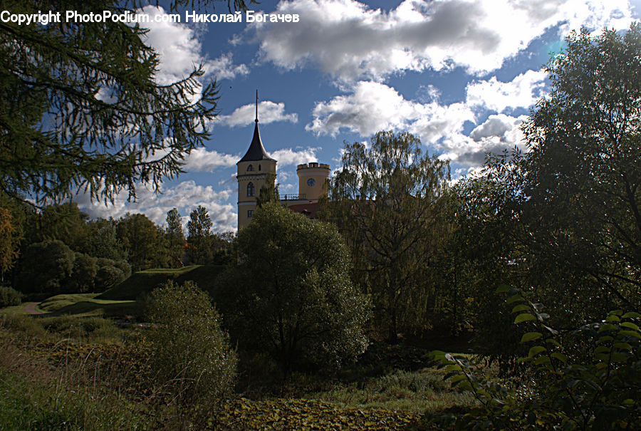 Architecture, Bell Tower, Clock Tower, Tower, Conifer, Fir, Plant