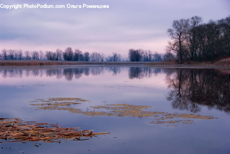 Lake, Outdoors, Water, Landscape, Nature, Scenery