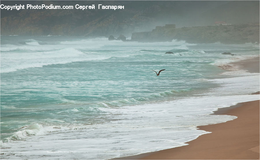 Beach, Coast, Outdoors, Sea, Water, Ocean, Sea Waves