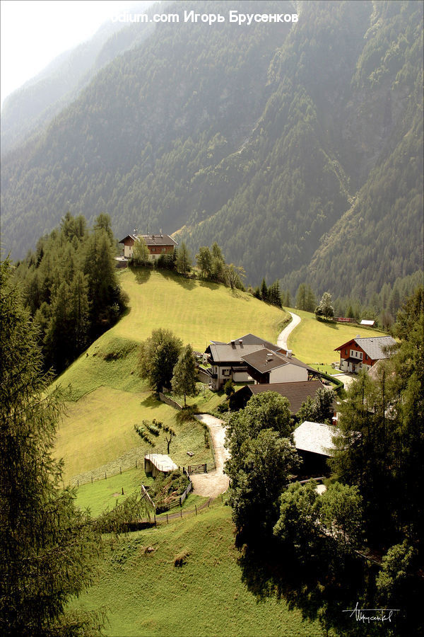 Building, Cottage, Housing, Bush, Plant, Vegetation, Villa