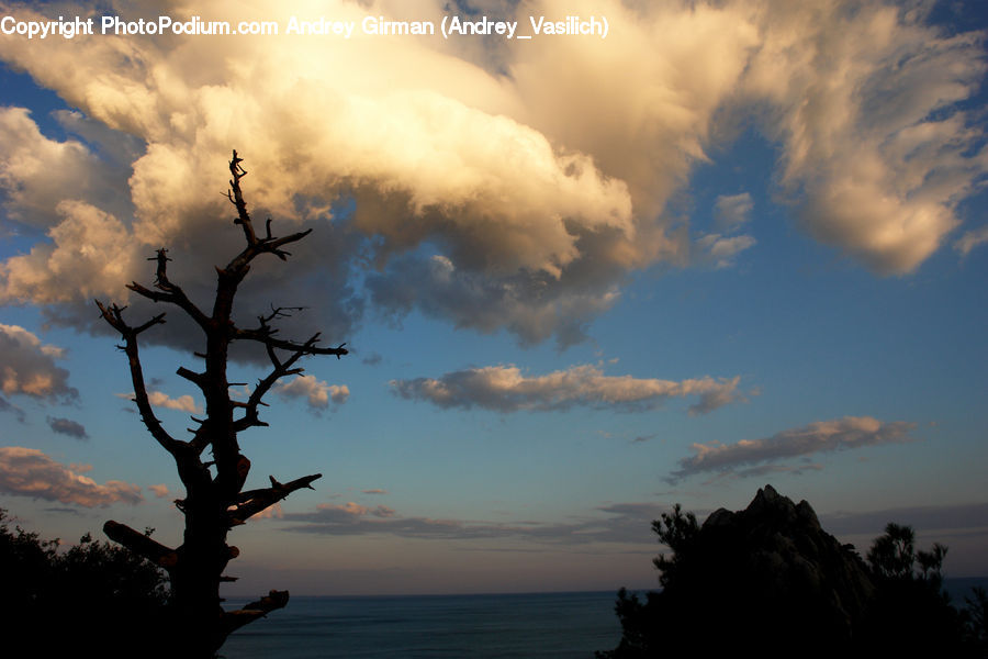 Azure Sky, Cloud, Outdoors, Sky, Plant, Tree, Dusk