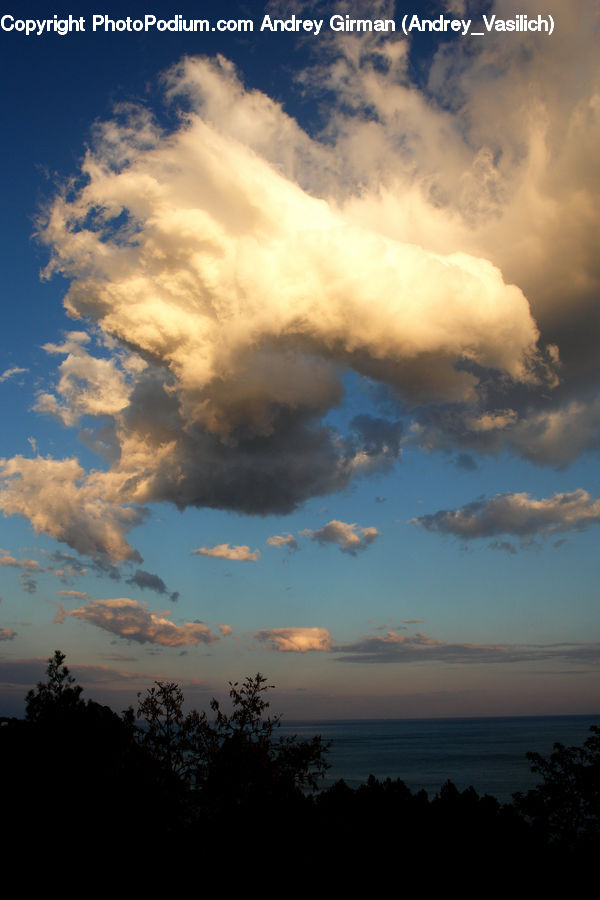 Azure Sky, Cloud, Outdoors, Sky, Plant, Potted Plant, Dawn