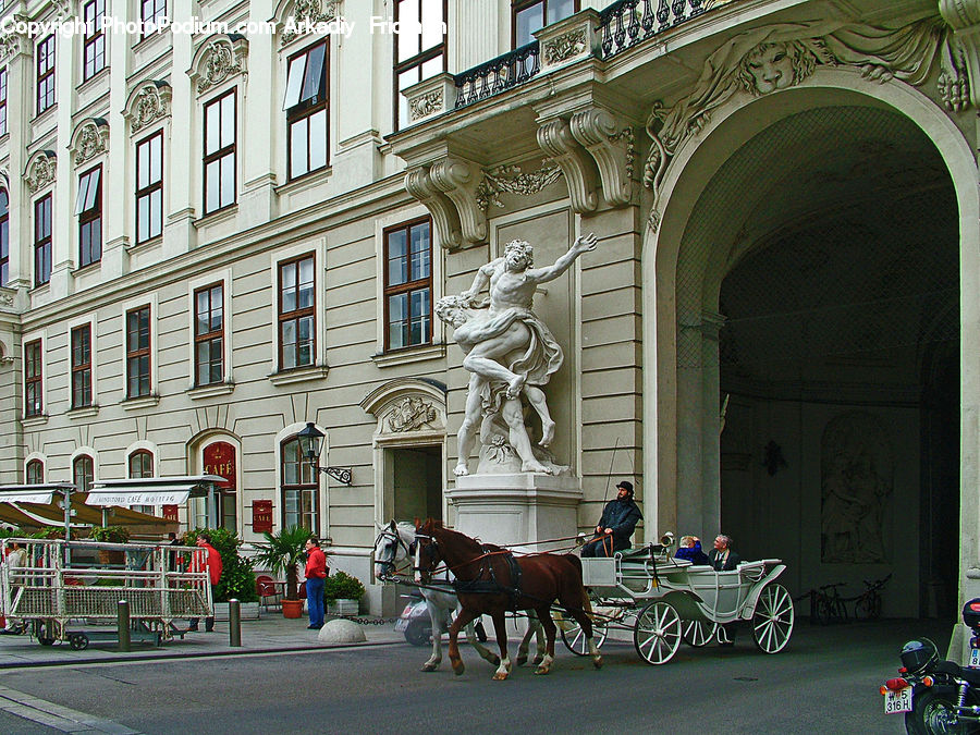 Carriage, Horse Cart, Vehicle, Animal, Horse, Mammal, Buggy