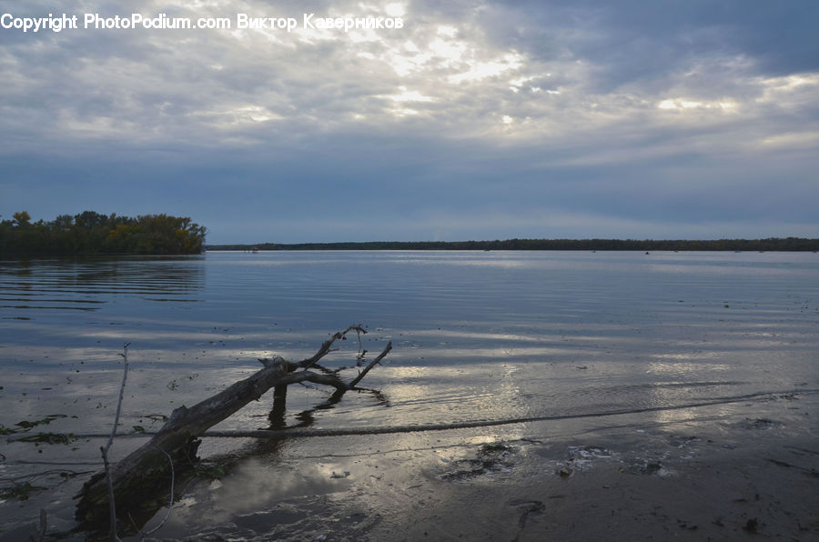 Beach, Coast, Outdoors, Sea, Water, Driftwood, Wood