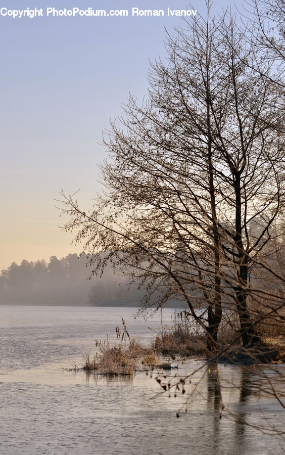 Land, Marsh, Outdoors, Swamp, Water, Landscape, Nature