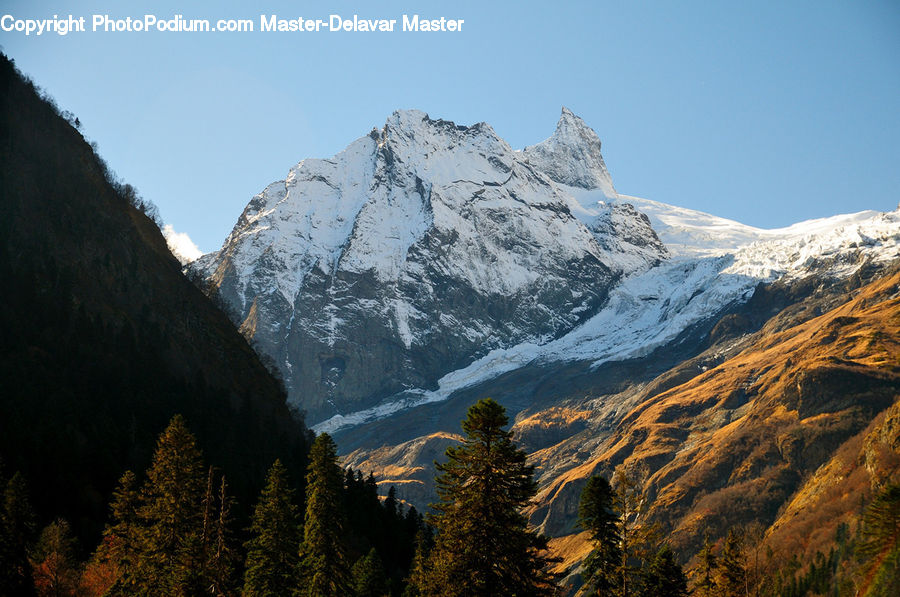 Crest, Mountain, Outdoors, Peak, Mountain Range, Conifer, Fir