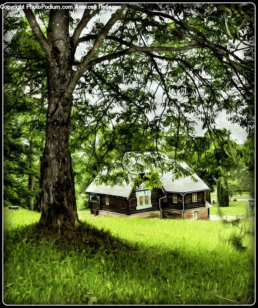 Building, Cottage, Housing, Cabin, Hut, Rural, Shack