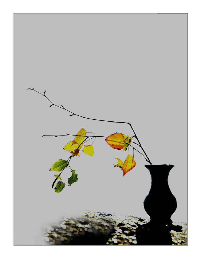 Flower Arrangement, Ikebana, Plant, Potted Plant, Vase, Silhouette, Leaf