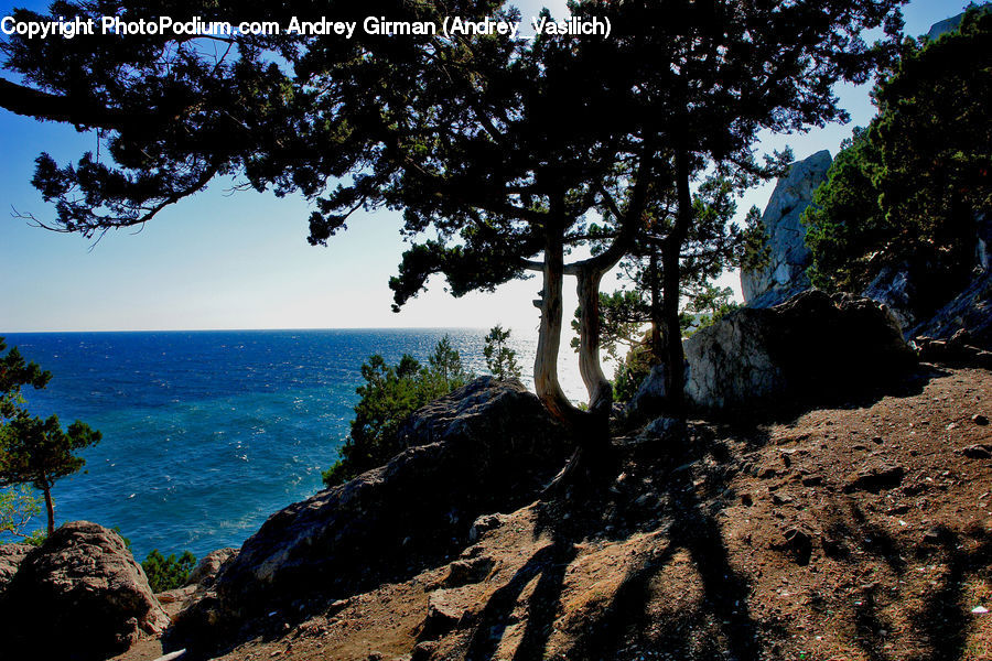 Rock, Hole, Cliff, Outdoors, Sea, Water, Soil