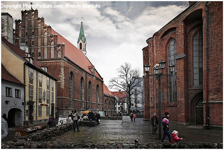 Cobblestone, Pavement, Walkway, Road, Street, Town, Plant