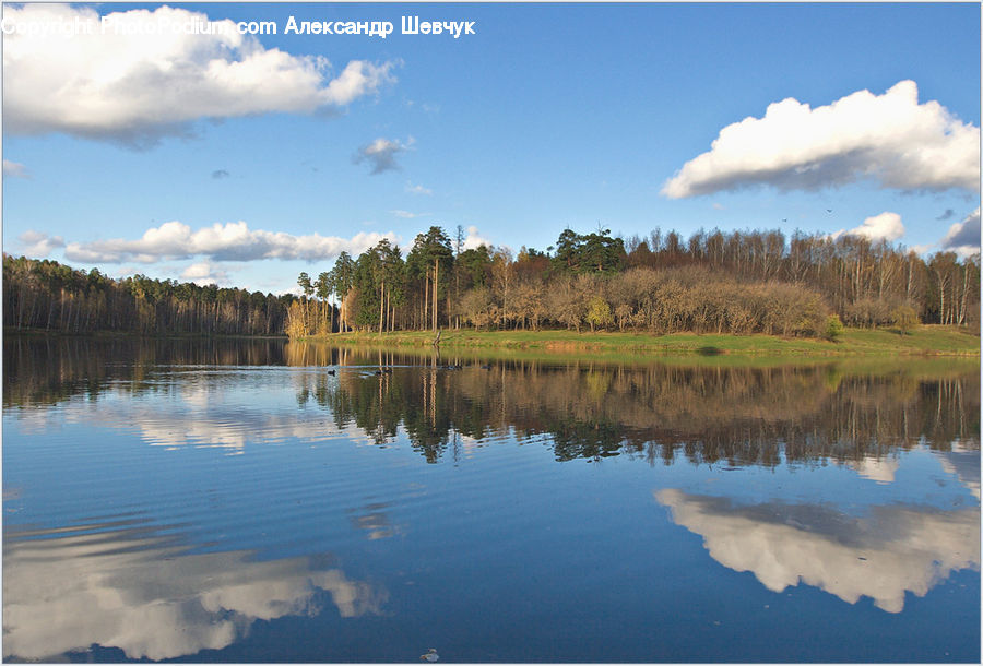 Lake, Outdoors, Water, Land, Marsh, Pond, Swamp