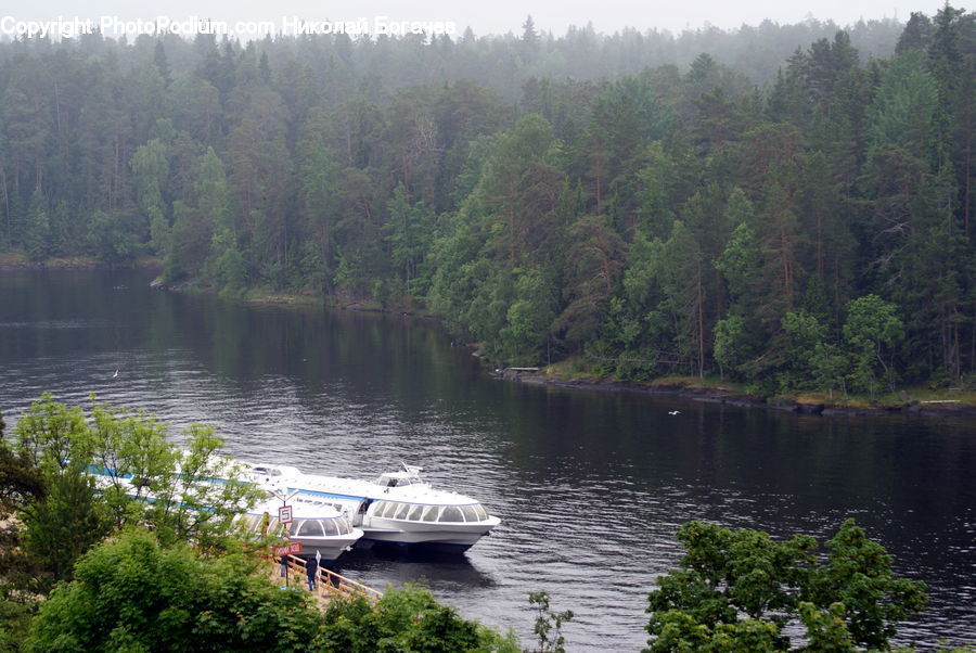 Dock, Landing, Pier, Lake, Outdoors, Water, Conifer