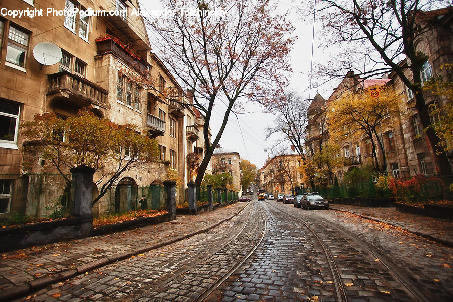 Cobblestone, Pavement, Walkway, Plant, Potted Plant, Brick, Road