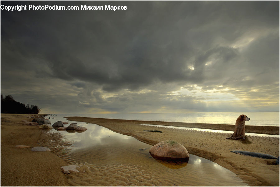 Beach, Coast, Outdoors, Sea, Water, Sand, Soil