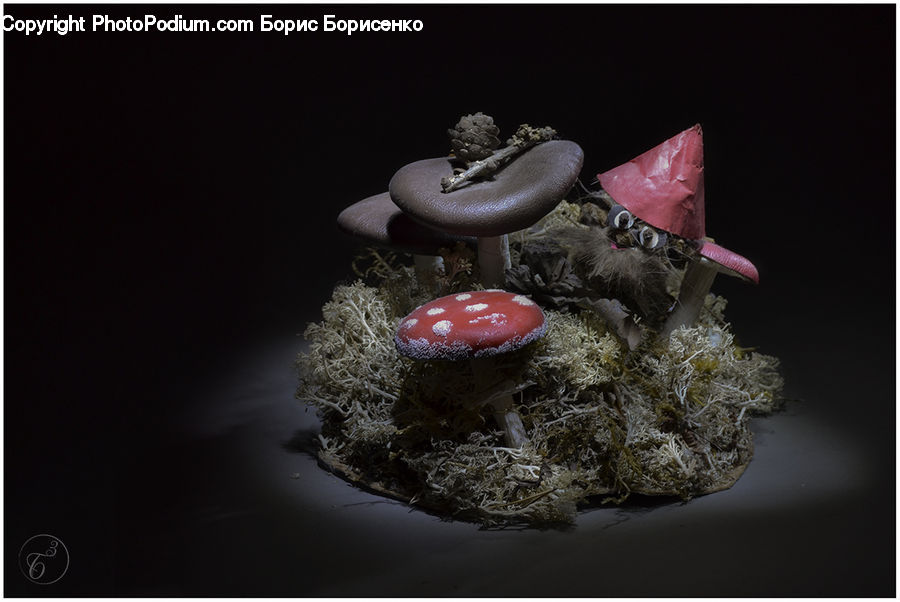 Agaric, Amanita, Fungus, Mushroom, Plant, Crystal, Cake