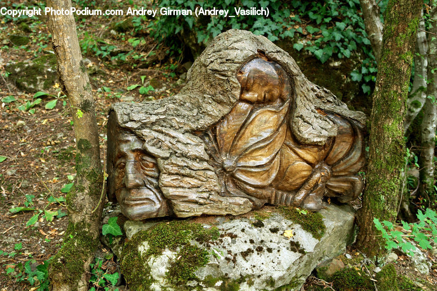 Ivy, Plant, Vine, Art, Sculpture, Statue, Forest