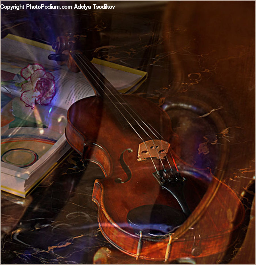 Cello, Fiddle, Musical Instrument, Violin, Lute, Mandolin