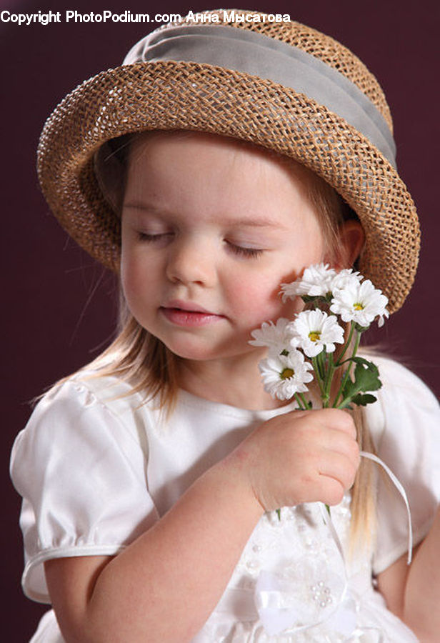 People, Person, Human, Hat, Daisies, Daisy, Flower