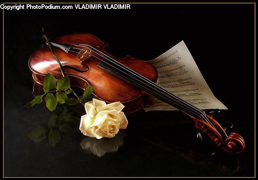 Cello, Fiddle, Musical Instrument, Violin