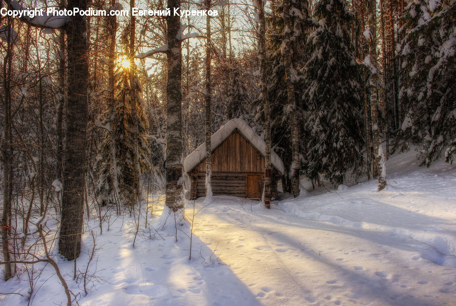 Barn, Building, Countryside, Cabin, Hut, Rural, Shack