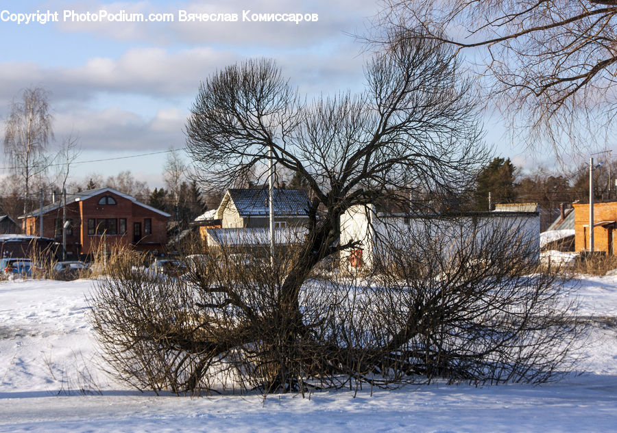 Building, Cottage, Housing, Landscape, Nature, Scenery, Architecture