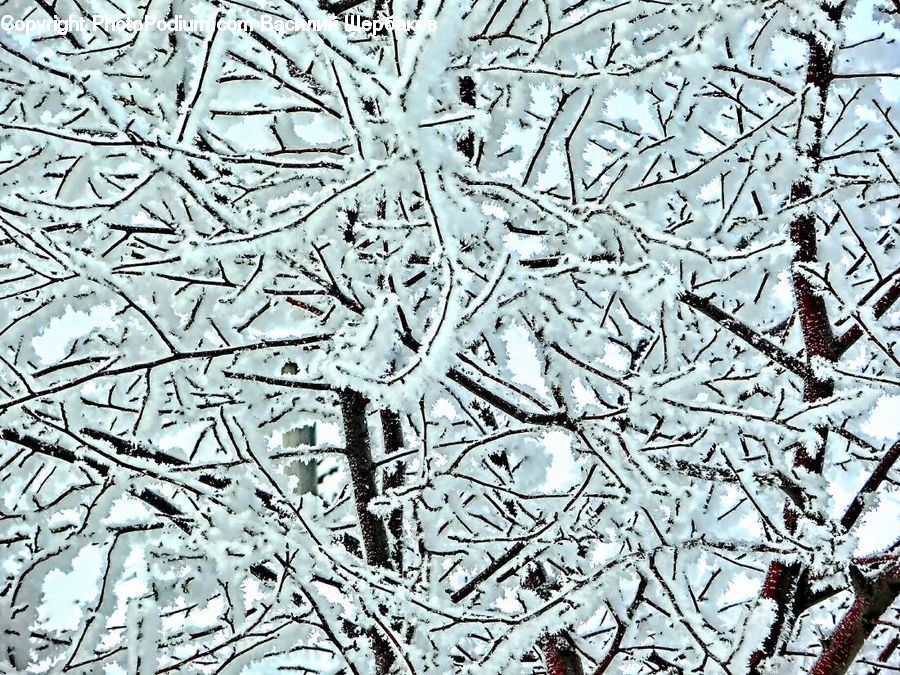 Doodle, Drawing, Ice, Outdoors, Snow