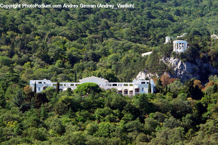 Architecture, Housing, Monastery, Building, Villa, Forest, Vegetation