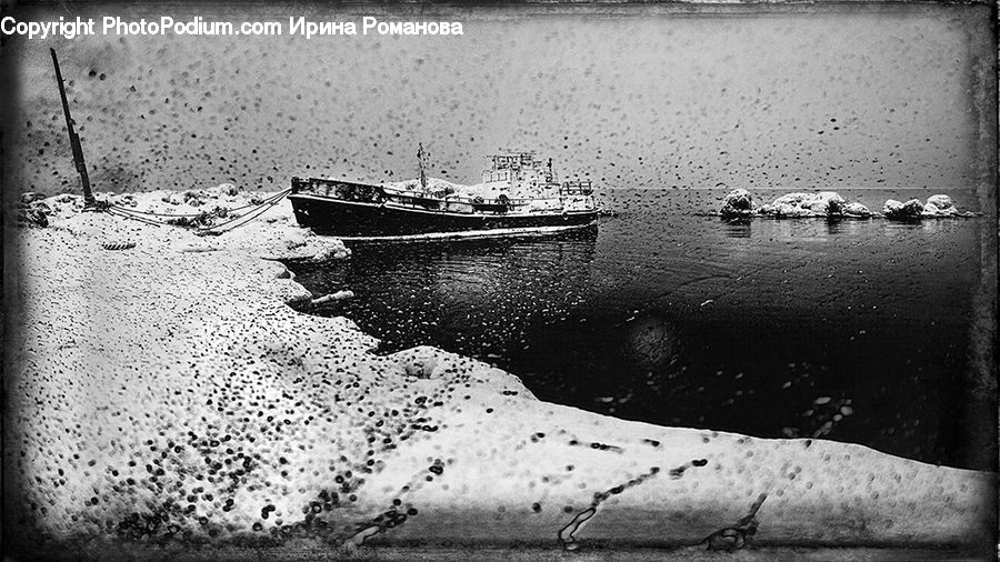 Barge, Boat, Tugboat, Cruise Ship, Ferry, Freighter, Ship