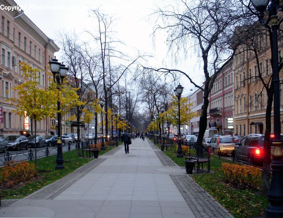 Path, Road, Walkway, Sidewalk, Street, Town, Parking