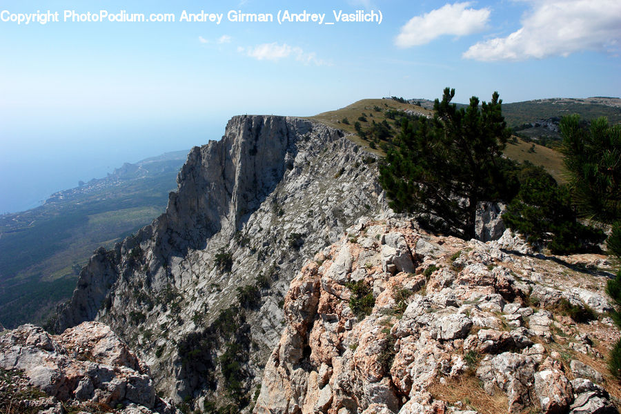 Crest, Mountain, Outdoors, Peak, Plant, Potted Plant, Forest