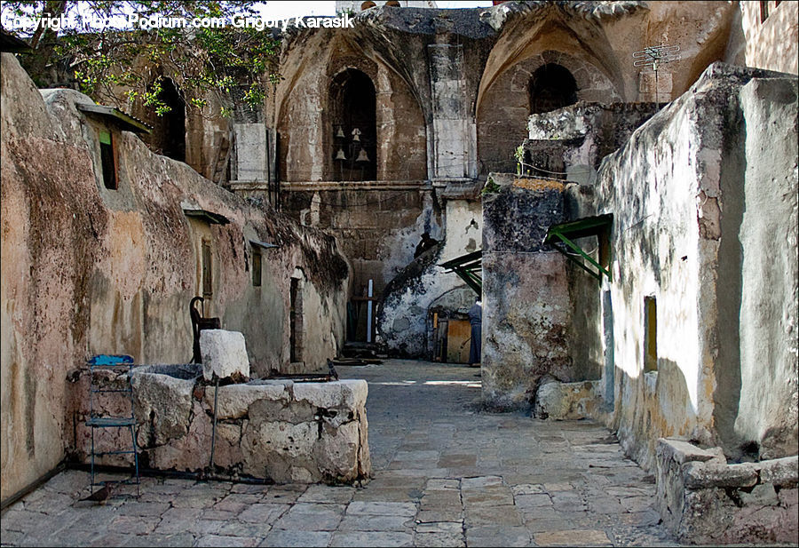 Plant, Potted Plant, Ruins, Crypt, Dungeon, Alley, Alleyway