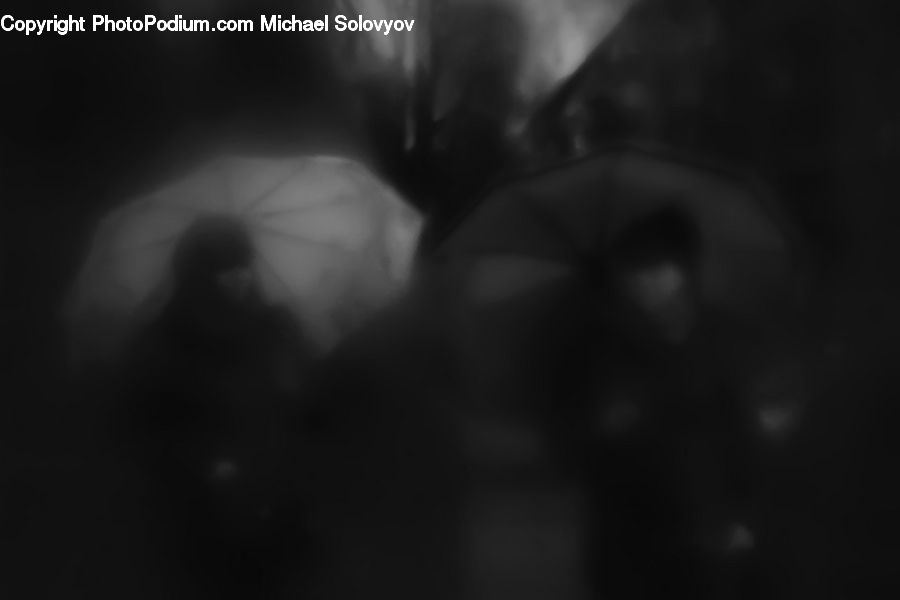Club, Festival, X-Ray, Face