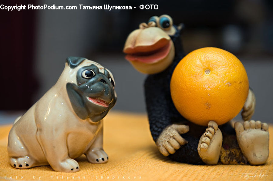 Amphibian, Frog, Wildlife, Jewelry, Pearl, Bowl, Citrus Fruit