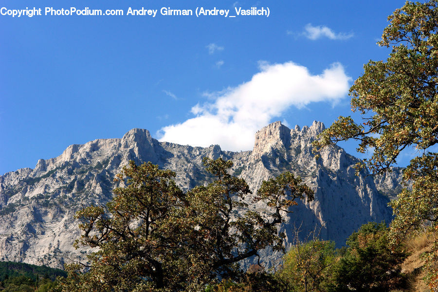 Crest, Mountain, Outdoors, Peak, Conifer, Fir, Plant