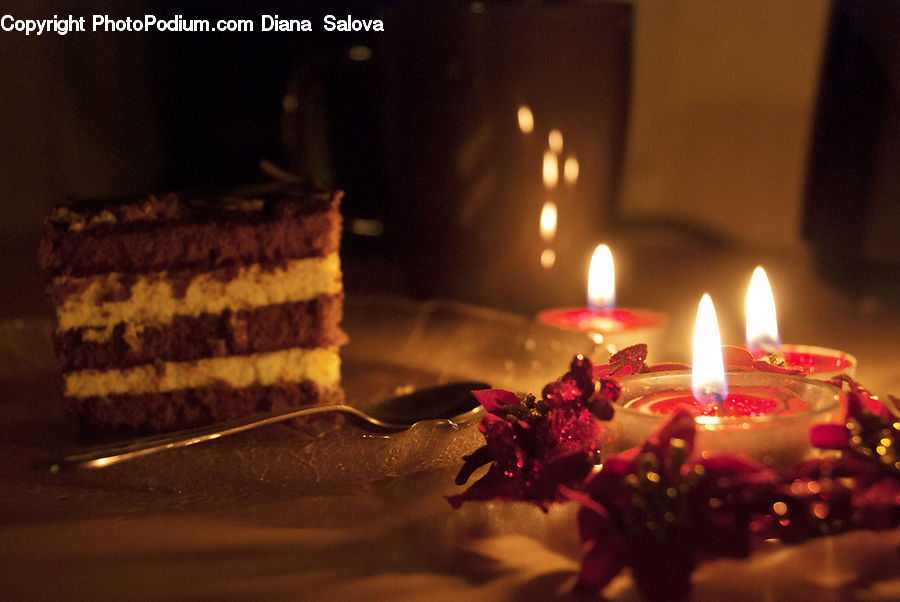 Candle, Birthday Cake, Cake, Dessert, Food, Plant, Potted Plant