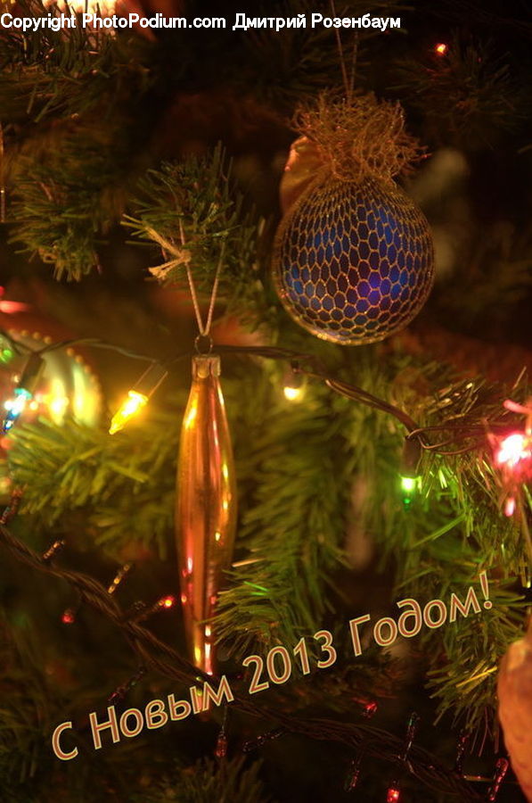 Plant, Potted Plant, Ornament, Lighting, Fireworks, Night, Conifer