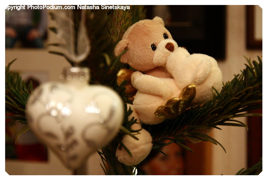 Ornament, Teddy Bear, Toy, Conifer, Fir, Plant, Tree