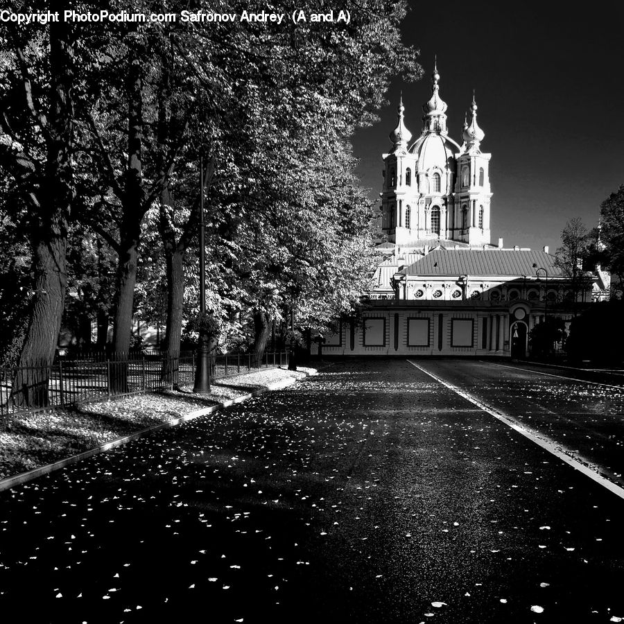 Architecture, Cathedral, Church, Worship, Night, Outdoors, City