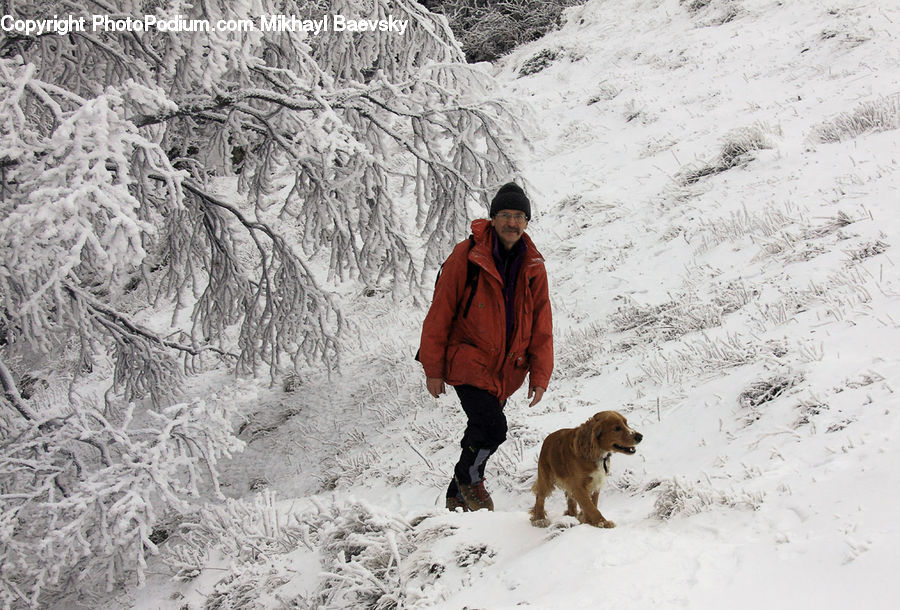 Human, People, Person, Ice, Outdoors, Snow, Animal