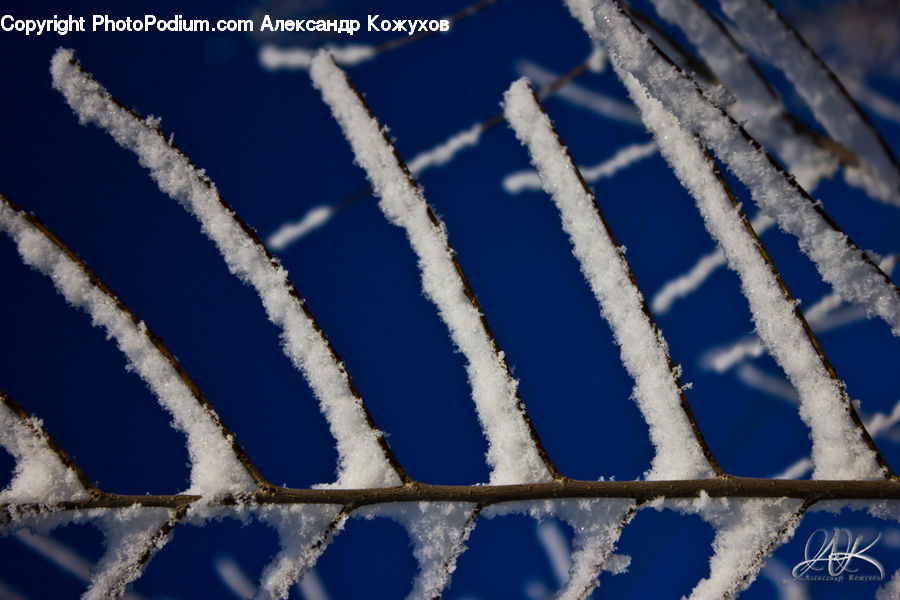 Frost, Ice, Outdoors, Snow, Field, Grass, Grassland