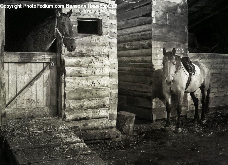 Animal, Horse, Mammal, Countryside, Field, Rural, Brick