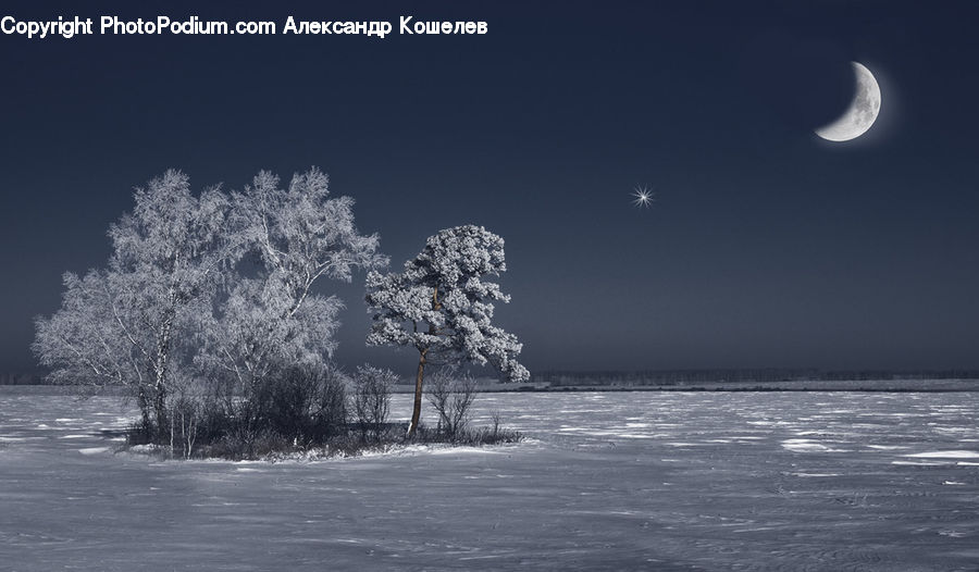 Frost, Ice, Outdoors, Snow, Astronomy, Moon, Night