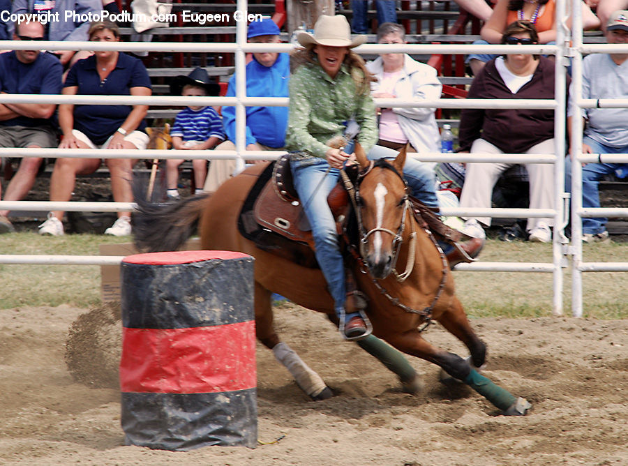 People, Person, Human, Rodeo, Animal, Equestrian, Horse