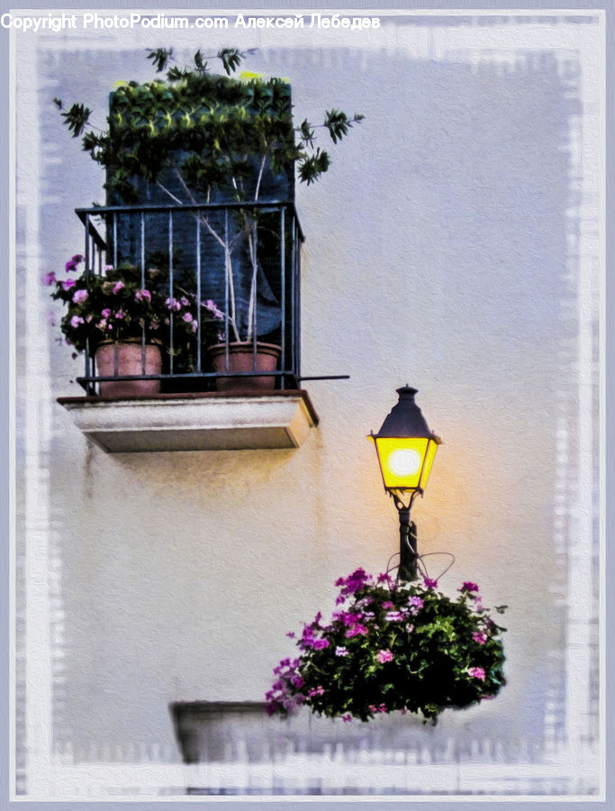 Balcony, Plant, Potted Plant, Lantern, Ivy, Vine, Fence